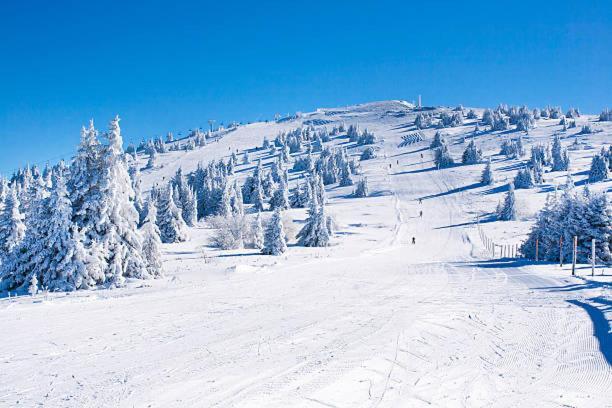 Vista Kopaonik Milmari Studio P22 Luaran gambar