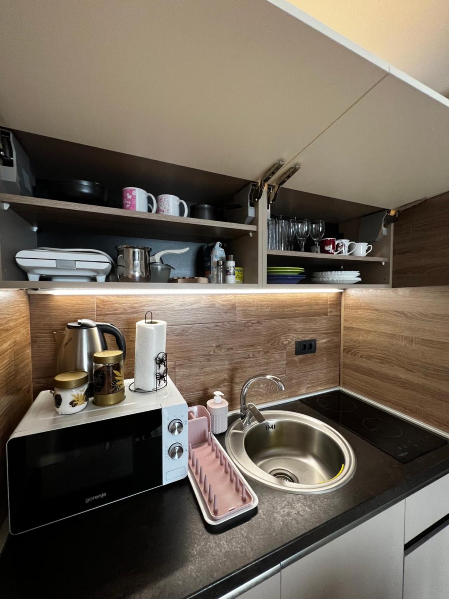 Vista Kopaonik Milmari Studio P22 Luaran gambar